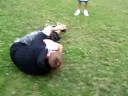 qwanoes fight qwanoes fight