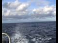 Far North Gamefish 2009
