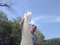 VID00006.AVI VID00006.AVI