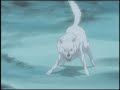 Wolf's Rain-Thanks For The Memories (Finished)