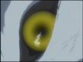 Wolf's Rain-Thanks For The Memories (Finished)