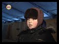 Кролиководство:  кролики