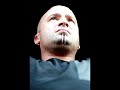 David Draiman snarl
