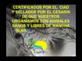 ECOLARVAS_001.avi