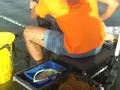 Club de pesca El Ronquillo-Los Lagos del Serrano (2)