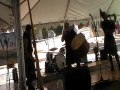 Wicked Tinkers at San Diego Scottish Highlands Games 2012
