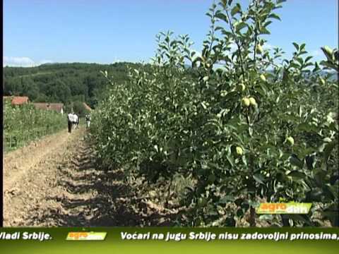 AgroDan 13.06.2013.