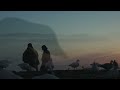 snow goose
