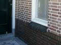 videos de Voegbedrijf Goes Middelburg Bergen op Zoom Zierikzee