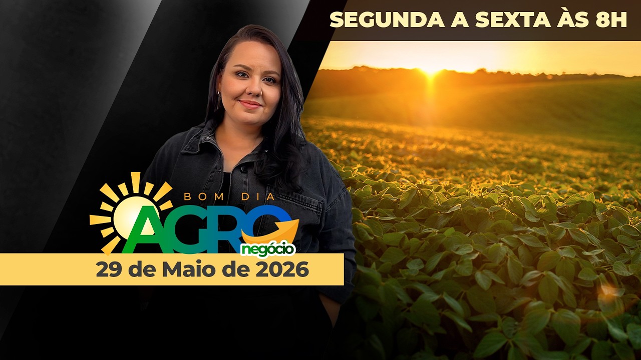 BOM DIA AGRONEGÓCIO - EDIÇÃO 29-05-2026