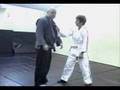 Bujinkan Israel and Sweden Cooperation - basic work01 - Ofer