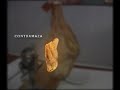Como Cortar Jamon Iberico.