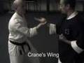 Zen Shorin Do in 2001 Rokushu and applications. Part 3 of 4