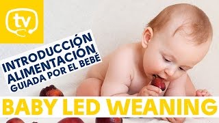 ¿Que el bebé decida que comer? Baby Led Weaning