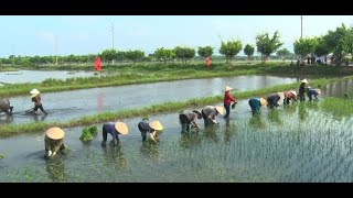 Lễ hội xuống đồng xã Điền Công năm 2019