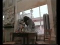 Blanco Humano