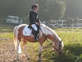 ecuries de crossey ecuries de crossey
