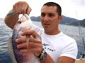 jigging Petit denti relaché jigging Petit denti relaché
