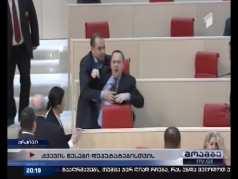 საპარლამენტო ეთიკა - დეპუტატების ჩხუბის ქრონიკა