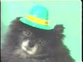 Pomerania