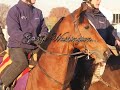 Breeders Cup Classic 2007 Promo