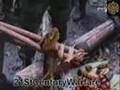 Spetsnaz  Спецназ   in Jungle