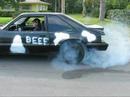 Moo Cows Smoke Out Part #1