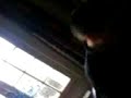 la fouine qui prend de l\ la fouine qui prend de l\