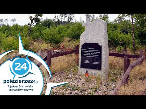 Zapomniana zbrodnia hitlerowska. Wspomnienia pielęgniarki