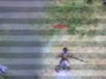 videos de Falconetes Colubrinas e Casacas-Vermelhas