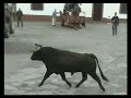 Capeia de Carnaval 2008 Lageosa da raia