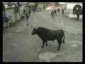 Capeia de Carnaval 2008 Lageosa da raia Capeia de Carnaval 2008 Lageosa da raia