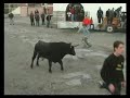 Capeia de Carnaval 2008 Lageosa da raia