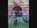 Click here to watch this video LILRED2010 MIXTAPE TRACK.3 RASTA FARIE FT TWEEDAY&BIG HAMP.