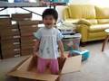 videos de box