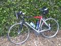 Giant TCRc1