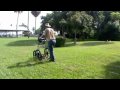 Archaeological Techniques: Ground Penetrating Radar