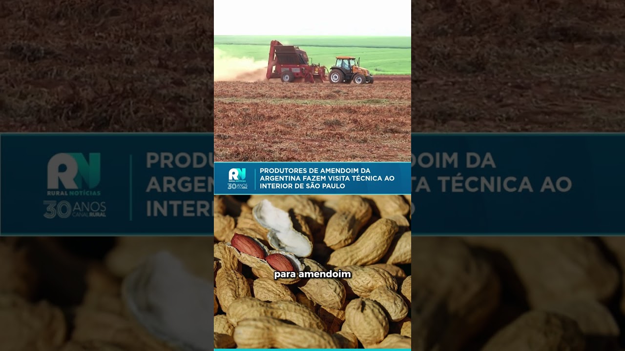Produtores de amendoim da Argentina fazem visita técnica ao interior de São Paulo