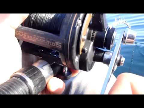 how to bleed yellowtail