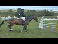 vali   my new horse! bsja?