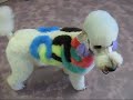 Vancouver Olympic Poodle Dog