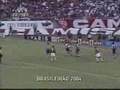 Fernandão é Matador!