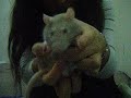 Rat tricks - Bestest trick ever!