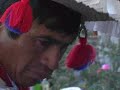 m�sicos huicholes*Corrido