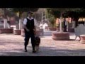 CADEREYTA QUERETARO