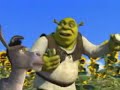 Sherek �orum Versiyonu_1