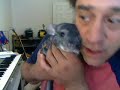 TIKI THE CHINCHILLA SINGS A HAPPY SONG TIKI THE CHINCHILLA SINGS A HAPPY SONG