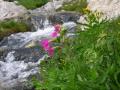 2006-07 RoadTrip Movie.wmv