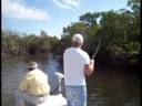 pine island redfish & more
