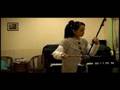 牛仔很忙-二胡版Ariel Erhu